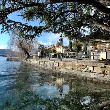 Mimosa Centro Salo' * Сало